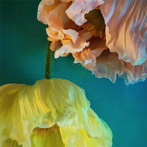 不及人间一两风 (优美的钢琴曲)