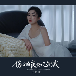 伤心的夜伤心的我