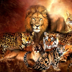 Best tiger roar ever