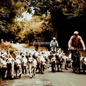 安静的孤独的狗声音