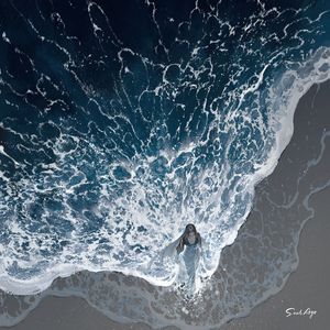 亲爱的塞西莉娅 Dear Cecilia