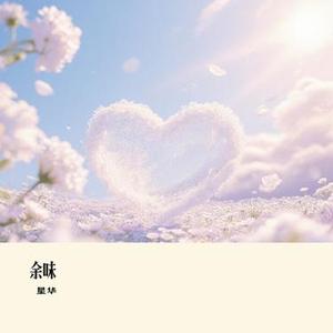 灵魂伴侣 (星华 Remix)