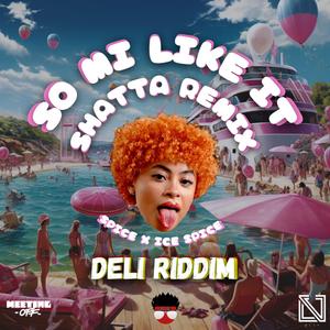 So mi like it (Deli shatta riddim) (feat. Dj LV & Natoxie) (Remix)