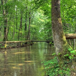 这场雨下得不明不白
