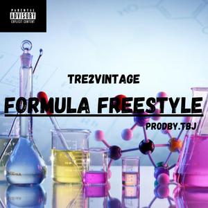 Formula Freestyle