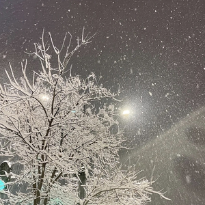 雪雨别离