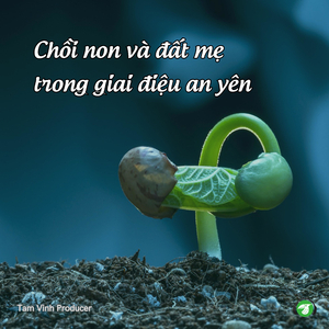 Vòng Tay Yêu Thương Của Mẹ Thiên Nhiên