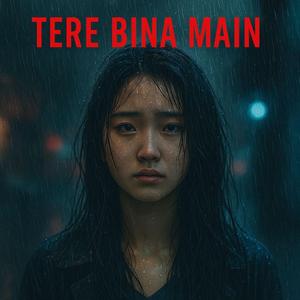 Tere bina main