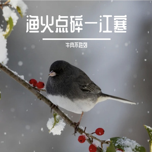 梧桐树下下静静生长