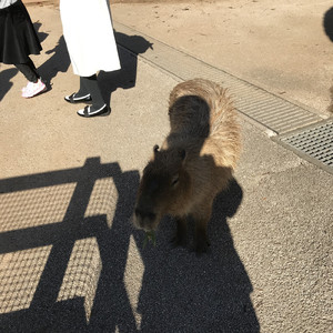 季節は流れて。。。。