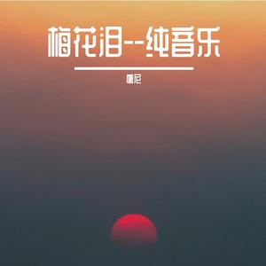 梅花泪-纯音乐