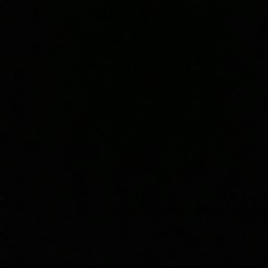 致敬奄奄一息的灵魂（The dying soul）