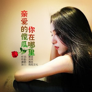 亲爱的傻瓜你在哪里