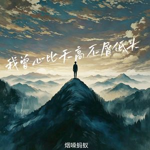 我曾心比天高不屑低头