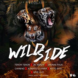 Wild Side (AllStar) (feat. Alberto LP, Nitto MTG, Chireno, Tnor Tnor, Aris La D & Jn Kenzy)