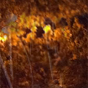 October Song Initial