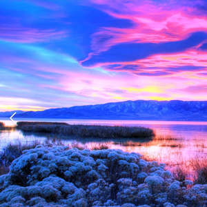 吃不到的醋最酸