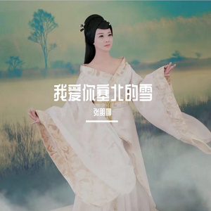 我爱你塞北的雪 伴奏