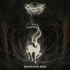 Mondscheintrunkene Lindenblüten