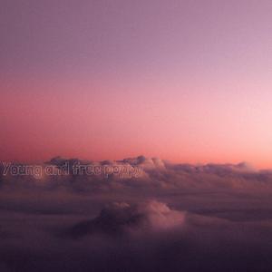 Young and free poppy