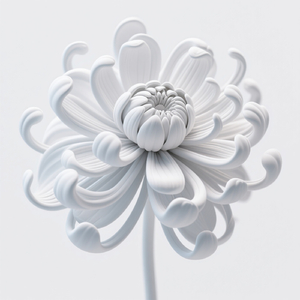 Borrowed Time, Borrowed Hearts