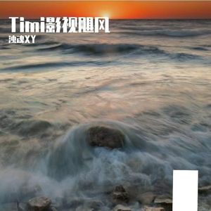 Timi（影视飓风）语录