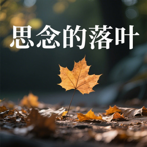 思念的落叶