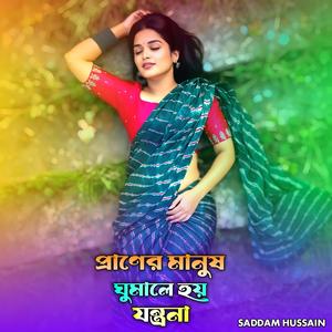 প্রাণের মানুষ ঘুমালে হয় যন্ত্রণা