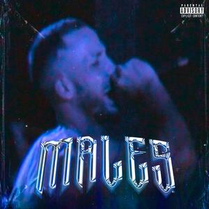 Males (feat. Rokkme)