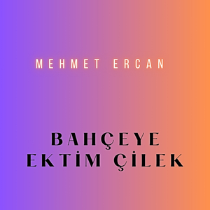Bahçeye Ektim Çilek