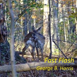Fast Flash