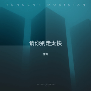 请你别走太快