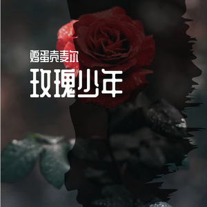 玫瑰少年（cover蔡依林）