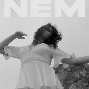 Nem
