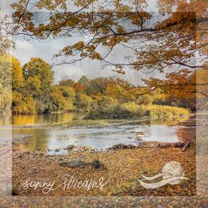 Sunny Stream in Torio, Panama (loopable)