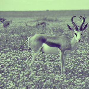 一尘不染下班后按摩印象数