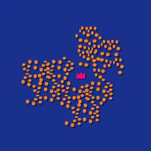 Schwarm im Blick (Instrumental)