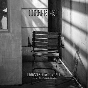 I Didn't See You At All (Live Acoustic)