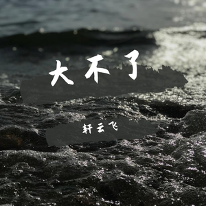 大不了
