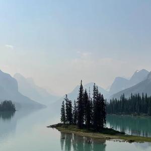 微光（翻自 Fish Leung）