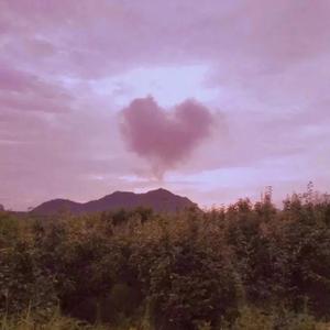 Havana-I Lost You(翻版)（初梦 remix）