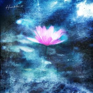 十八年莲(壹拾捌年莲)