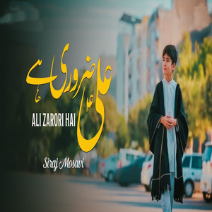 Ali Zarori Hai
