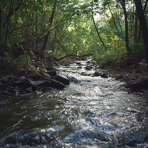 Sonidos Relajantes Para La Práctica De Yoga Junto Al Río