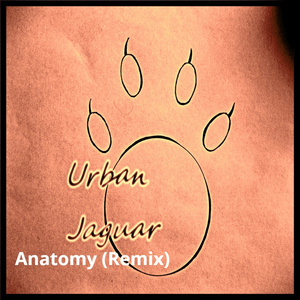 Anatomy (Remix)