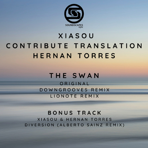 The Swan (Downgrooves Remix)