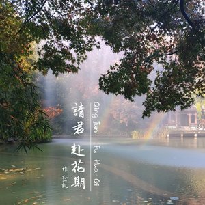 水月无形