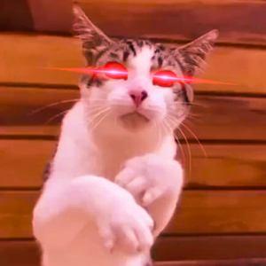 Sunshine 曼波 阳光曼波