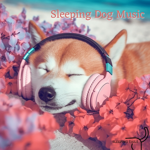 Zzz's