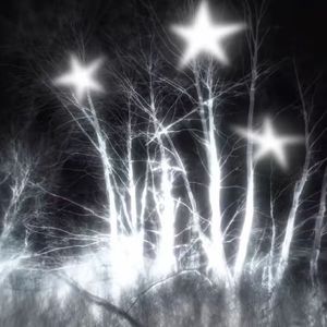 Snowflight （slow reverb）